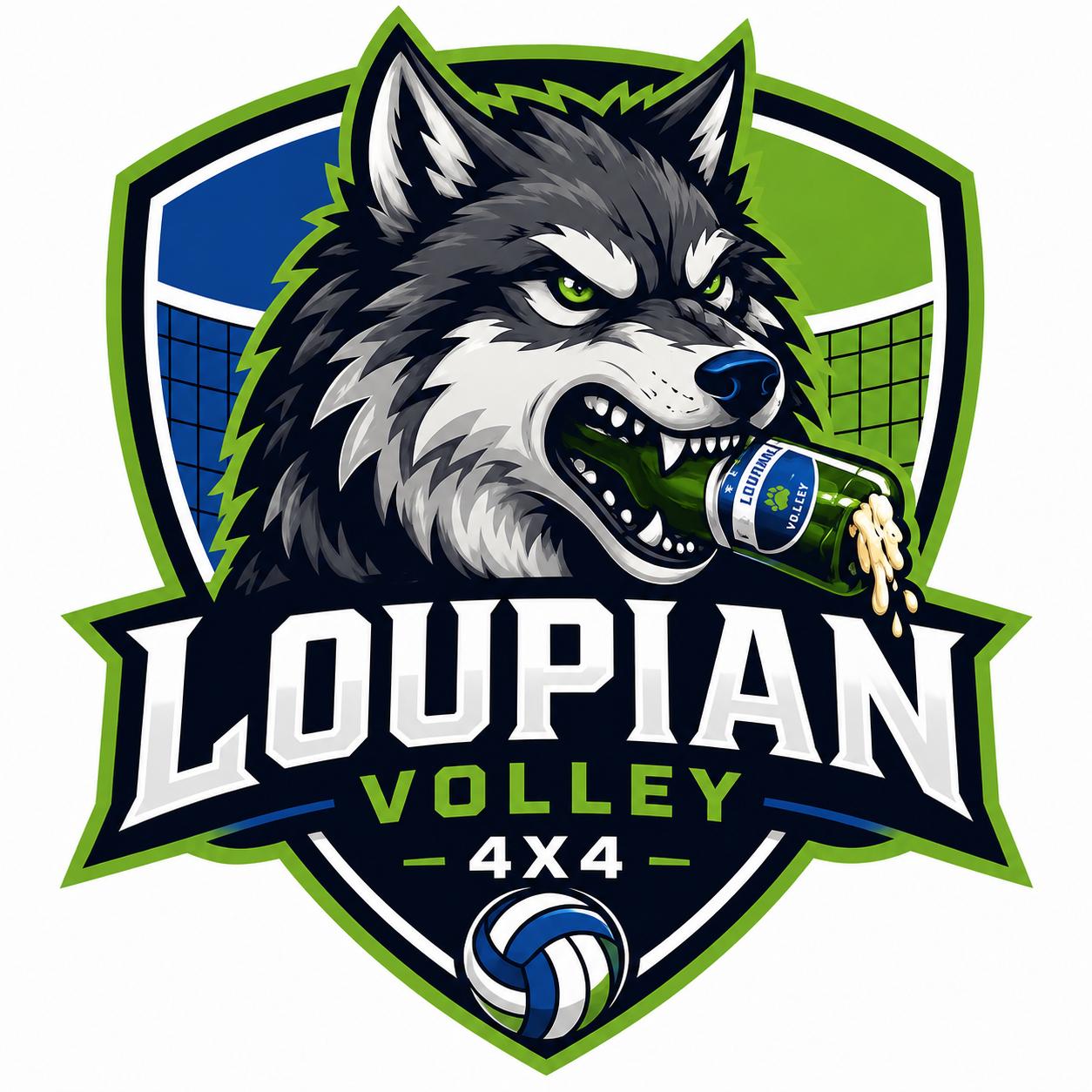 Association Volley Loupian