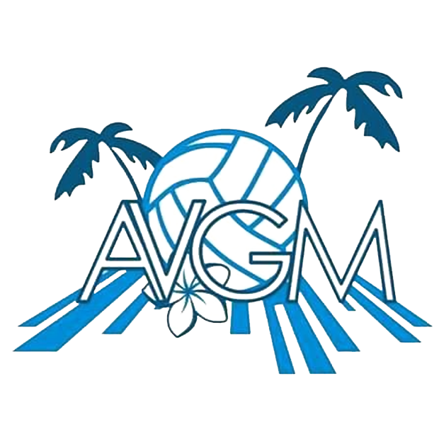 Association Volley Grand Mottois 